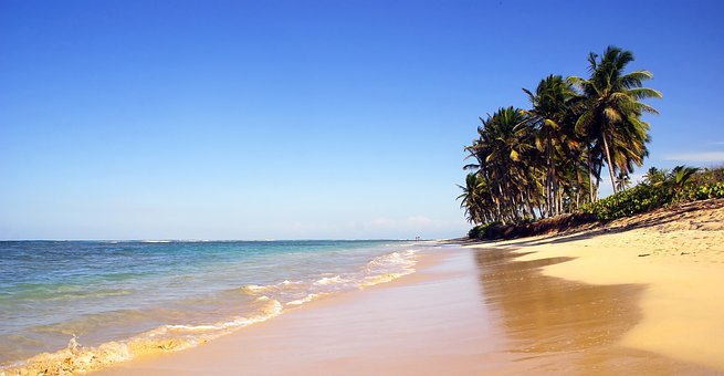 Strand und Palmen Dominikanische Republik