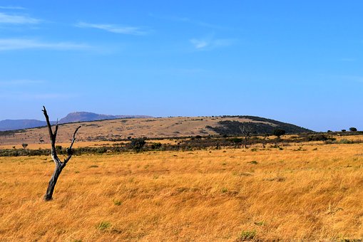Savanne in Tansania