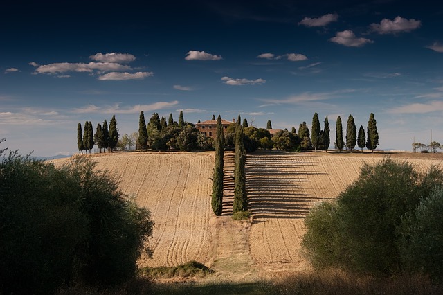 Spain - Fields